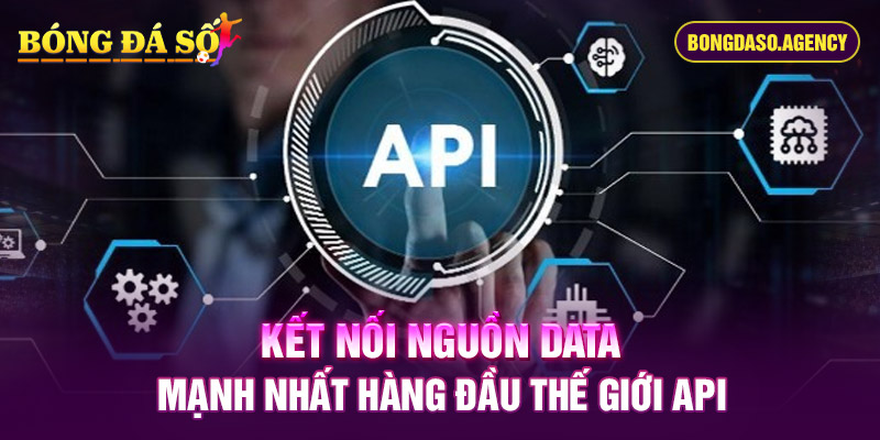 Kết nối nguồn data mạnh nhất hàng đầu thế giới API